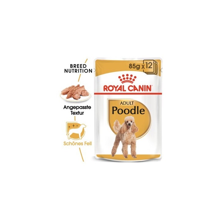 ROYAL CANIN Poodle Adult in Soße 48x85 g