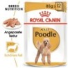 ROYAL CANIN Poodle Adult in Soße 48x85 g
