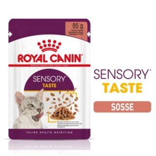 ROYAL CANIN Sensory Taste in Soße für wählerische Katzen 48x85 g