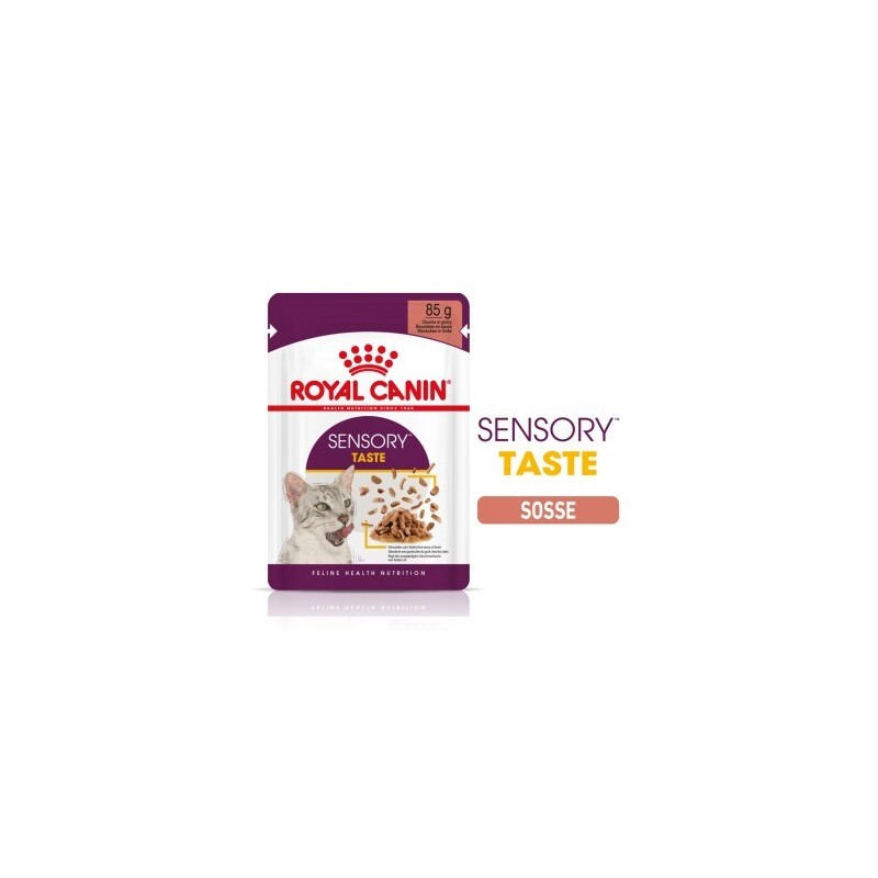 ROYAL CANIN Sensory Taste in Soße für wählerische Katzen 48x85 g