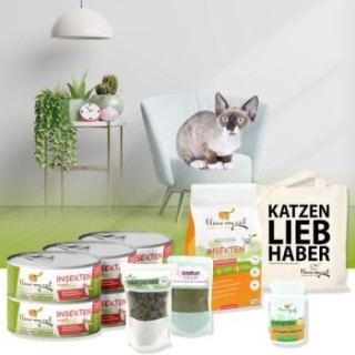 I love my cat Sparset für Devon Rex