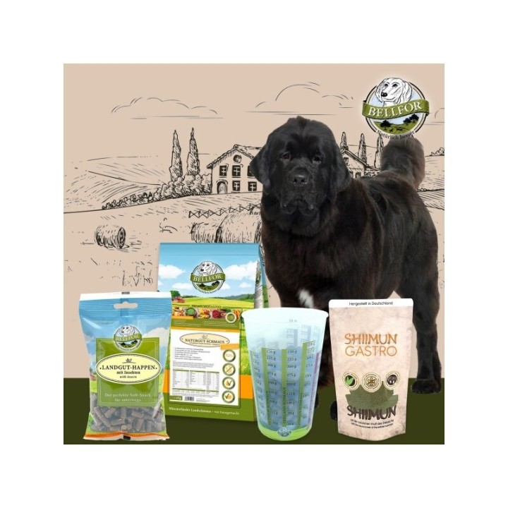 Bellfor Futterset für große Hunde mit Verdauungsbeschwerden