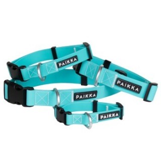 Paikka Glow Collar aqua 14 cm, 1,5 cm