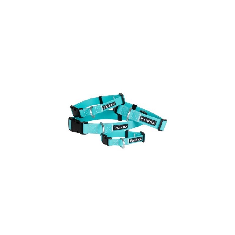 Paikka Glow Collar aqua 26 cm, 2,5 cm