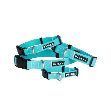 Paikka Glow Collar aqua 26 cm, 2,5 cm