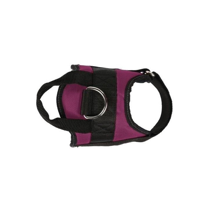 Regatta Reflektierendes Hundegeschirr S