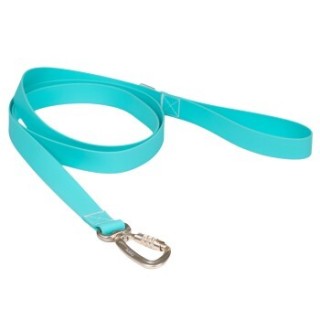 Paikka Glow Leash aqua aqua 2,5 cm