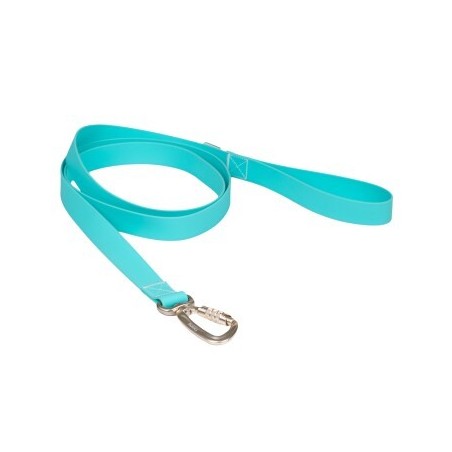 Paikka Glow Leash aqua aqua 2,5 cm