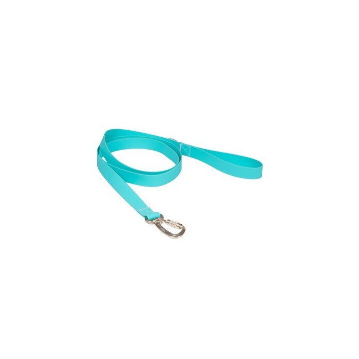 Paikka Glow Leash aqua aqua 2,5 cm