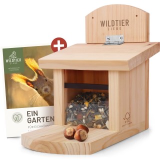 wildtier liebe Eichhörnchen Futterhaus