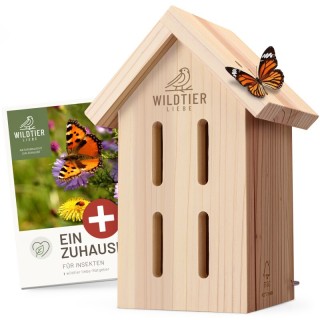 wildtier liebe Schmetterlingshaus