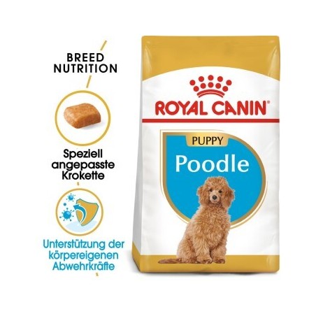 ROYAL CANIN BHN Poodle Puppy 3kg