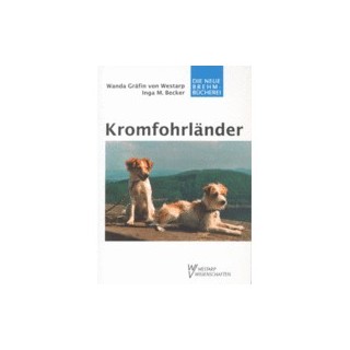 Schecker - Kromfohrländer