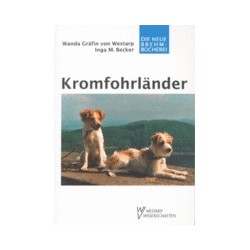 Schecker - Kromfohrländer