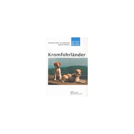 Schecker - Kromfohrländer