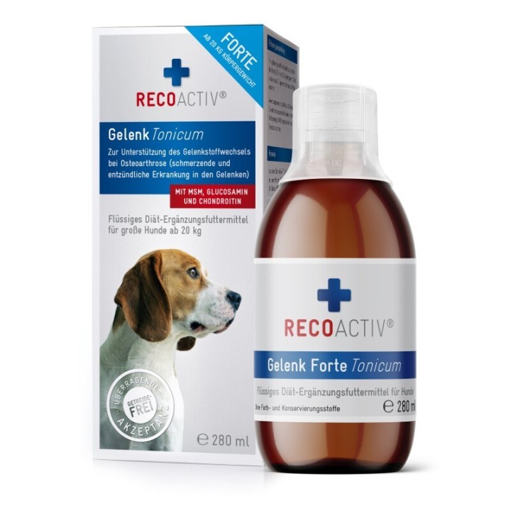 RECOACTIV ® Gelenk Forte Tonicum 280ml