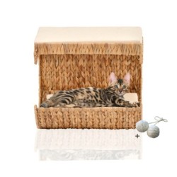 Rohrschneider ® Katzen Liegemulde Cäsar für Wandmontage, Kletterwand-Element mit Gratis-Spielballset