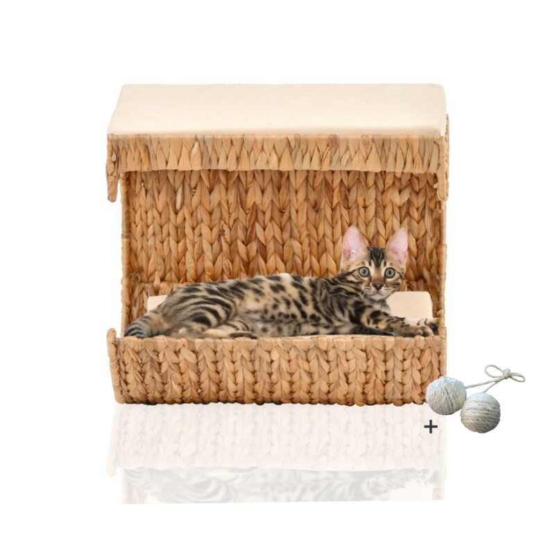 Rohrschneider ® Katzen Liegemulde Cäsar für Wandmontage, Kletterwand-Element mit Gratis-Spielballset