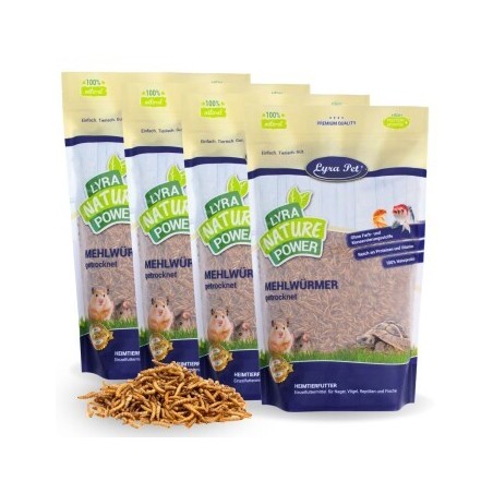 Lyra Pet Mehlwürmer getrocknet 4 kg