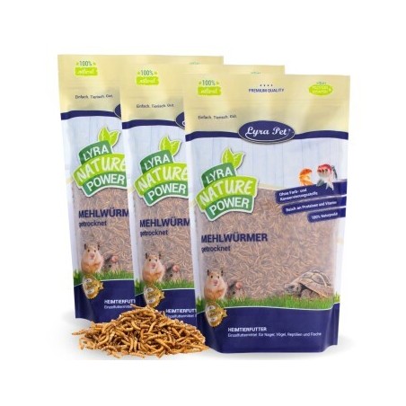 Lyra Pet Mehlwürmer getrocknet 3x5 kg