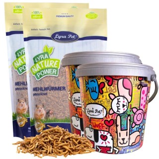 Lyra Pet Mehlwürmer im Design Eimer 2x4 kg