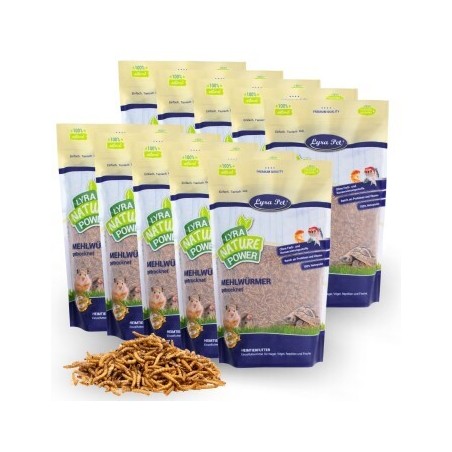Lyra Pet Mehlwürmer getrocknet 10x1 kg