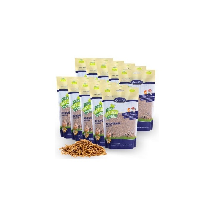 Lyra Pet Mehlwürmer getrocknet 10x1 kg