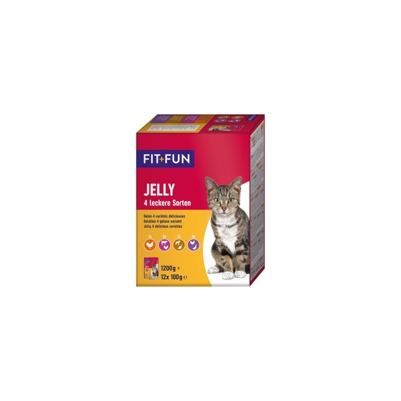 FIT+FUN Adult Jelly 4 Sorten 12x100g