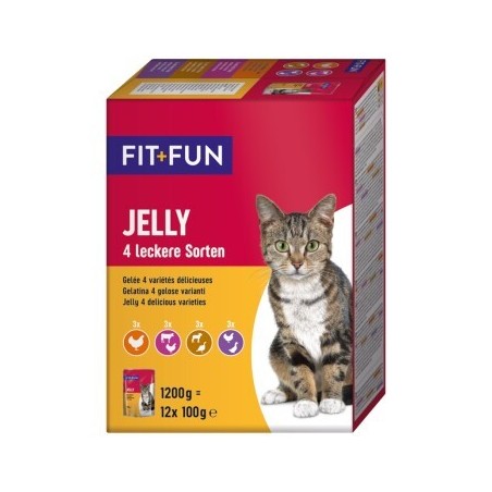 FIT+FUN Adult Jelly 4 Sorten 12x100g