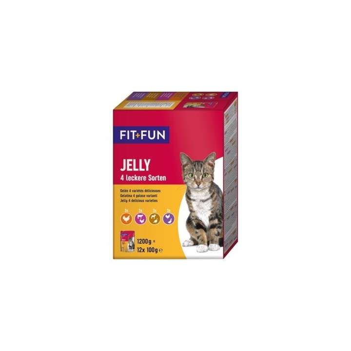 FIT+FUN Adult Jelly 4 Sorten 12x100g