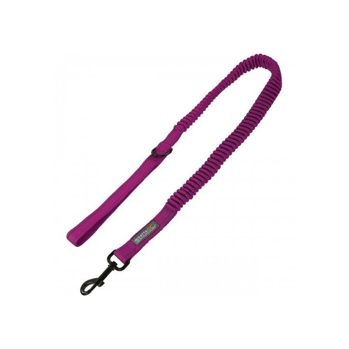 Regatta Hundeleine One Size oxford blau