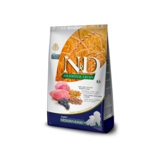 N&D Farmina Ancestral Grain Medium/Maxi Puppy Lamm 12 kg