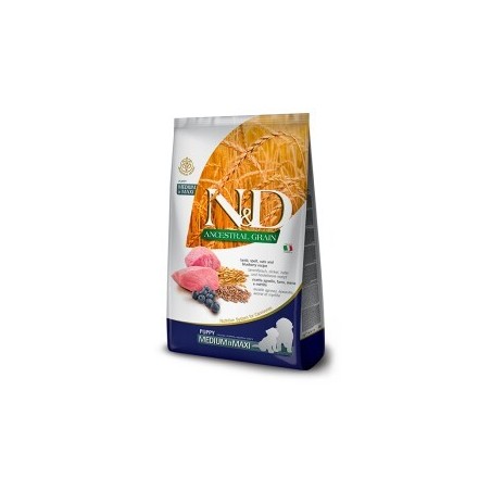 N&D Farmina Ancestral Grain Medium/Maxi Puppy Lamm 12 kg
