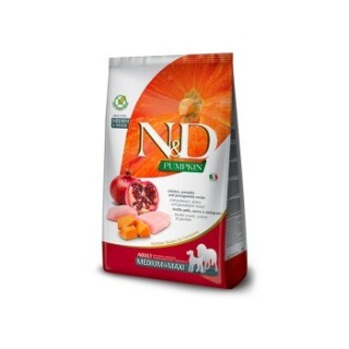 N&D Farmina Pumpkin Medium/Maxi Adult Huhn 2x12 kg