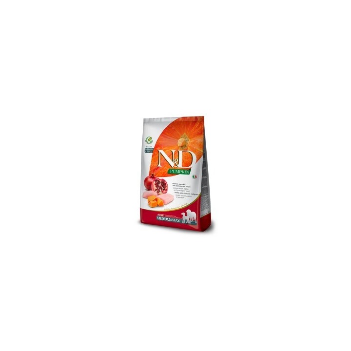 N&D Farmina Pumpkin Medium/Maxi Adult Huhn 2x12 kg