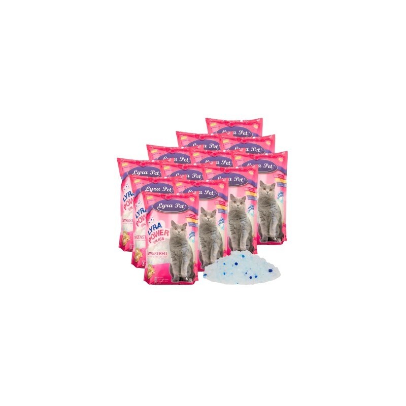 Lyra Pet Lyra Power Silica Silikat Katzenstreu 60 l