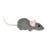 MORE App-gesteuerter Mouse Racer