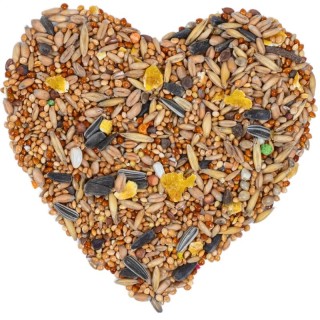 Lyra Pet Nymphensittichfutter 10 kg