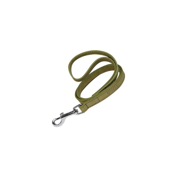 Gloria Hundeleine Oasis Grün 3 x 60 cm