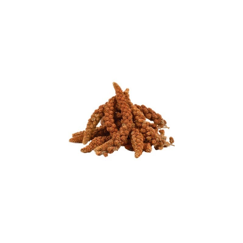 Lyra Pet Kolbenhirse rot 4 kg