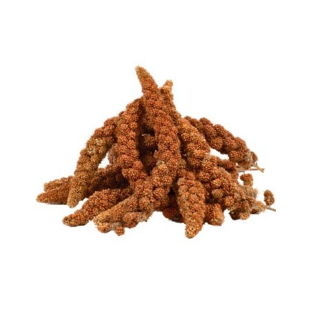 Lyra Pet Kolbenhirse rot 4 kg