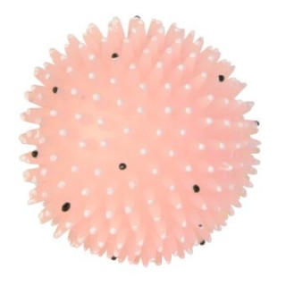 Trixie Moonlight Igelball