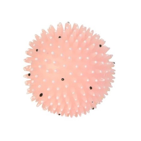Trixie Moonlight Igelball