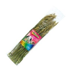 MultiFit Nagersnack Weizenähren