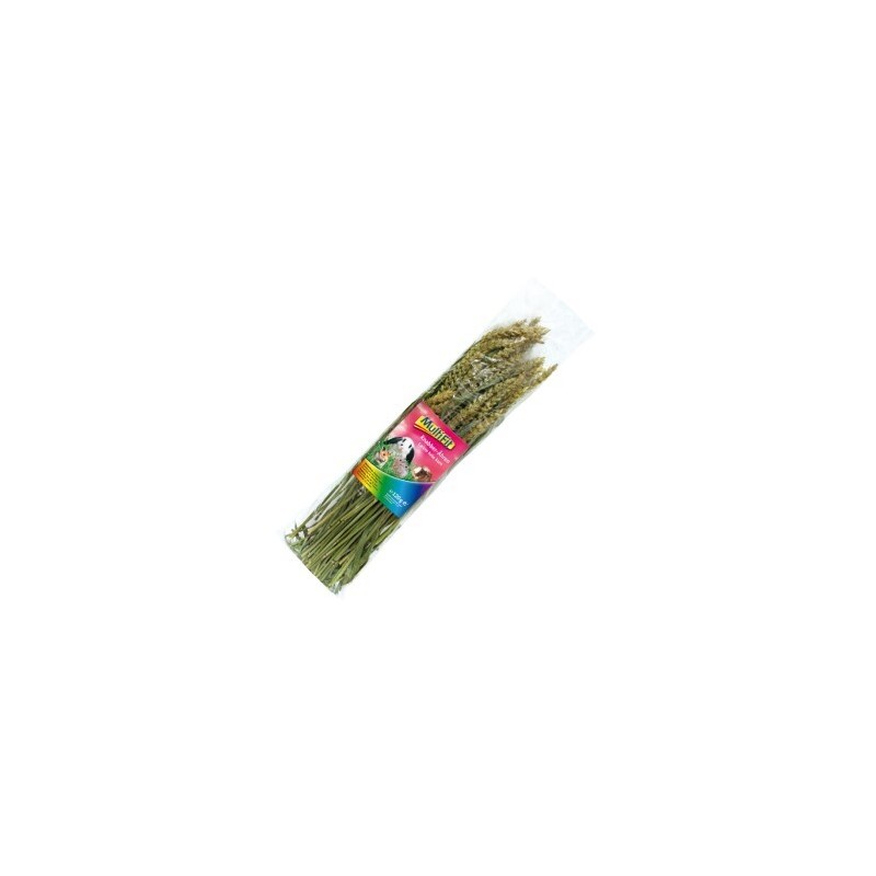 MultiFit Nagersnack Weizenähren