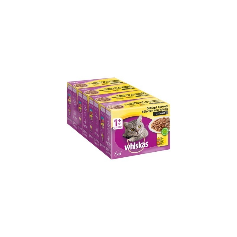 Whiskas 1+ Geflügel Auswahl in Sauce, Huhn/Truthahn/Ente/Geflügel 12x100g