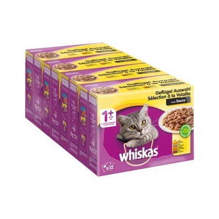 Whiskas 1+ Geflügel Auswahl in Sauce, Huhn/Truthahn/Ente/Geflügel 12x100g