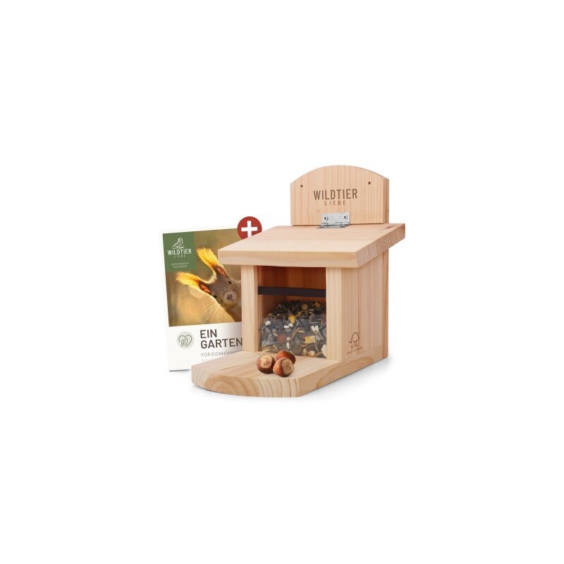 wildtier liebe Eichhörnchen Futterhaus