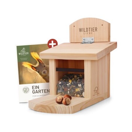 wildtier liebe Eichhörnchen Futterhaus