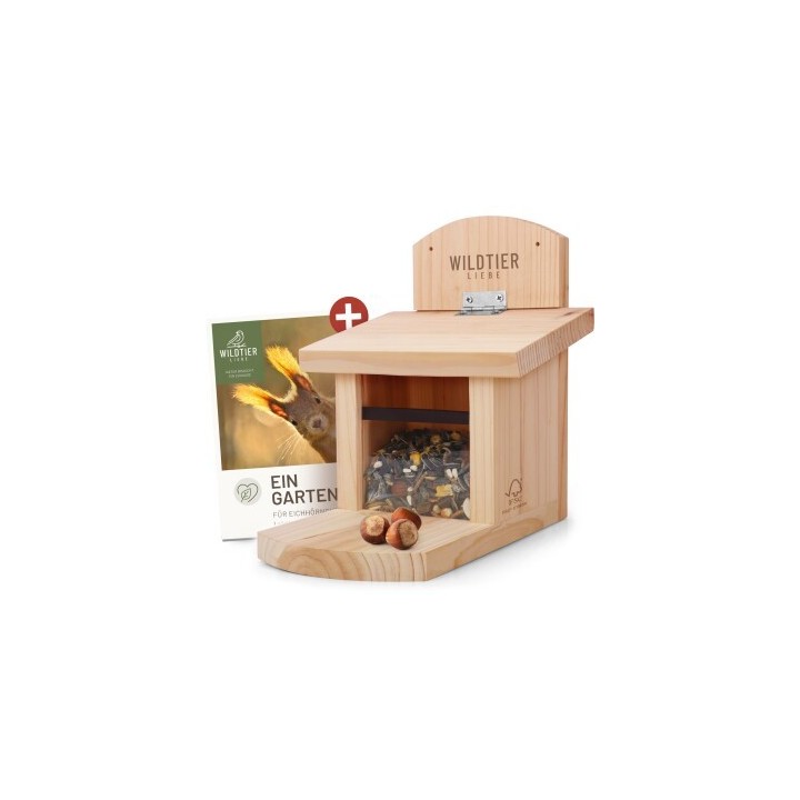 wildtier liebe Eichhörnchen Futterhaus